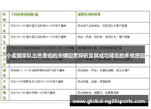小麦国家队出色表现的关键因素探析及其成功背后的多维原因