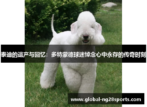 泰迪的遗产与回忆:多特蒙德球迷悼念心中永存的传奇时刻 泰迪的遗产与回忆:多特蒙德球迷悼念心中永存的传奇时刻