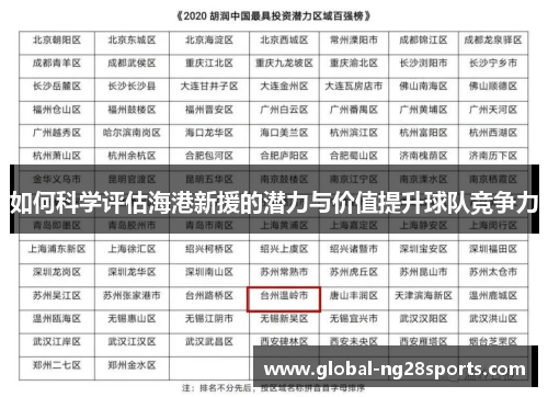 如何科学评估海港新援的潜力与价值提升球队竞争力