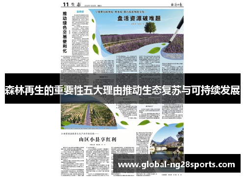 森林再生的重要性五大理由推动生态复苏与可持续发展