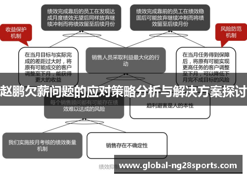 赵鹏欠薪问题的应对策略分析与解决方案探讨