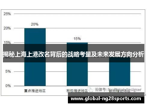 揭秘上海上港改名背后的战略考量及未来发展方向分析