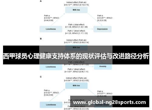 西甲球员心理健康支持体系的现状评估与改进路径分析